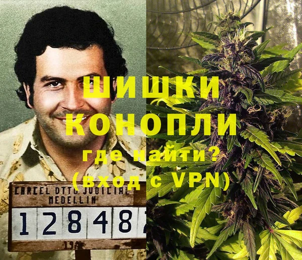 гидра Лагань