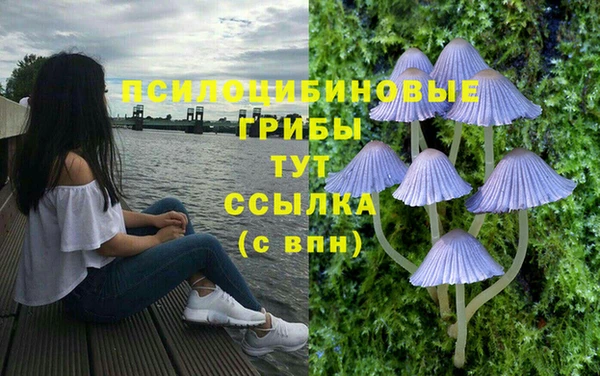 гидра Лагань