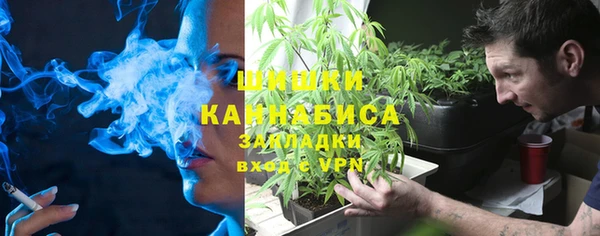 гидра Лагань