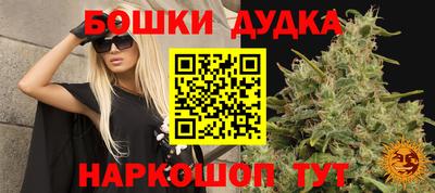 ALPHA PVP Беслан