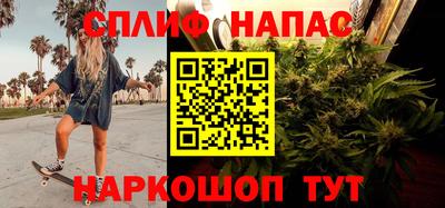 ешки Бийск