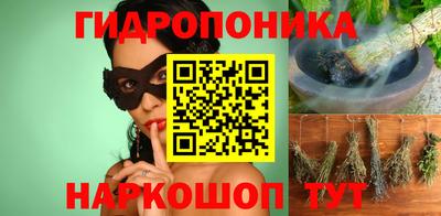 ешки Бийск