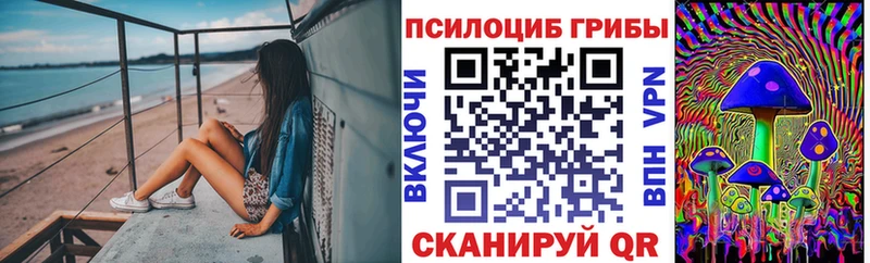 Галлюциногенные грибы Cubensis  где найти   Екатеринбург 