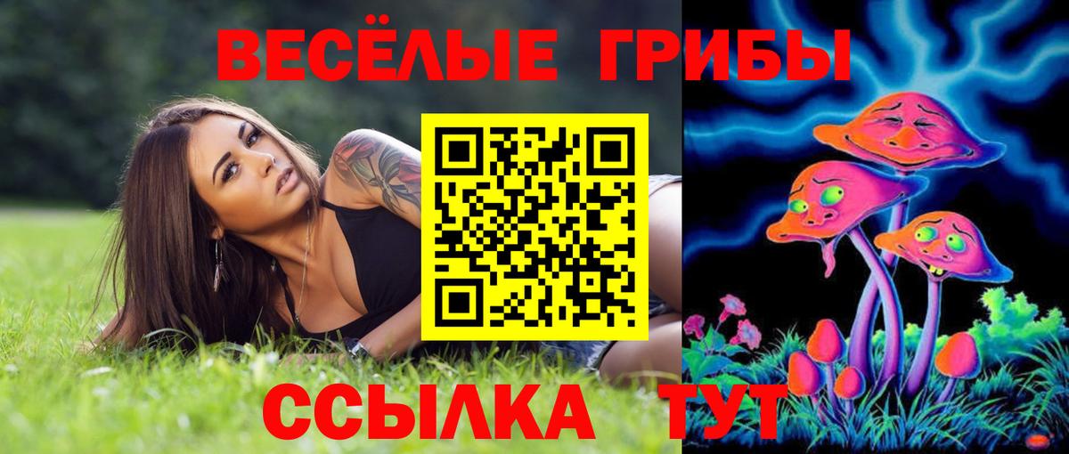 даркнет сайт  Вход с VPN  Екатеринбург  Псилоцибиновые грибы MAGIC MUSHROOMS 